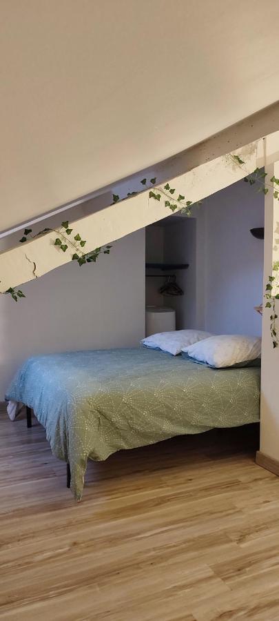L'Appartement 7 - Centre Ville-Parking-Tv-Wifi Tarbes Eksteriør billede